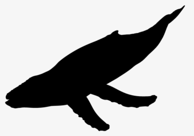 Unicorn Silhouette Head Png , Png Download - Silhouette Of Humpback Whale, Transparent Png, Free Download