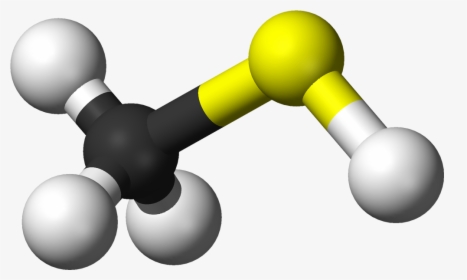 Methyl Mercaptan, HD Png Download, Free Download