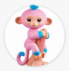 Skype Monkey Png - Baby Monkey, Transparent Png, Free Download