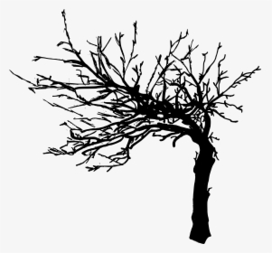 Tree Drawing Png, Transparent Png, Free Download