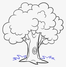 How To Draw Trees Drawing Cartoon Sketch - Cartoon Sketch Tree Drawing, HD Png Download, Free Download