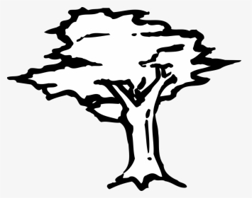 Dogwood Tree Drawing 28, Buy Clip Art - Stencil Swamp Trees, HD Png Download, Free Download