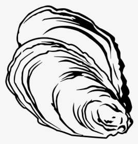 Oysters Drawing At Getdrawings - Oyster Clipart Black And White, HD Png Download, Free Download