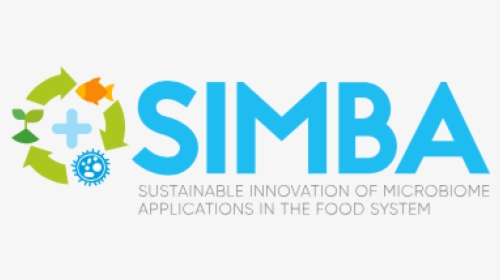 Simba Logo - Graphic Design, HD Png Download, Free Download