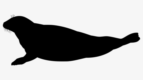 Photography - Seal Silhouette Vector, HD Png Download, Free Download