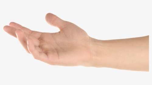 Transparent Reaching Hand Png - Hand Reaching Out Png, Png Download, Free Download