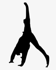 Parkour Gymnastics Flip Clip Art - Flip Clip Art, HD Png Download, Free Download
