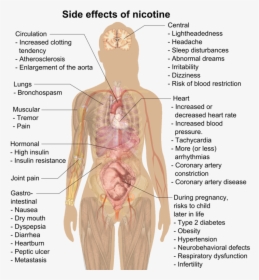Nicotine Effects, HD Png Download, Free Download