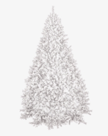 Christmas Tree, Winter, New Year"s Eve, Christmas, - White Christmas Tree Png, Transparent Png, Free Download