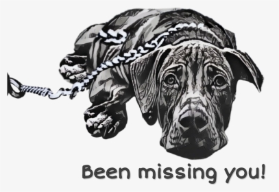 #scmissyou #dog #sad - Police Dog, HD Png Download, Free Download