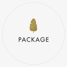 Package - Asu Gammage, HD Png Download, Free Download