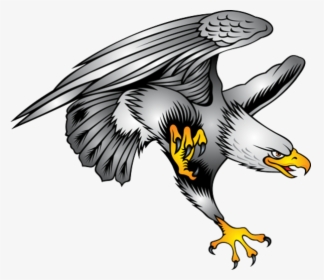Bald Eagle Symbol Illustration - Eagle Tattoo Design, HD Png Download, Free Download