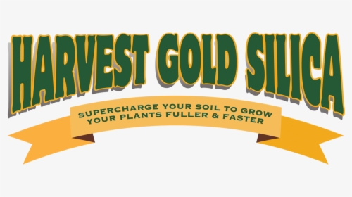 Harvest Gold Silica, HD Png Download, Free Download