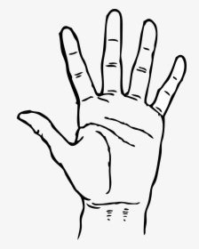 Hand Cliparts For Free Attention Clipart Signal And - Hand Clipart Black And White, HD Png Download, Free Download
