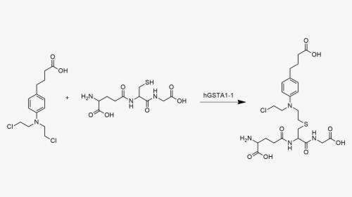 Chlorambucil Glutathione Reaction - Chlorambucil Dna, HD Png Download, Free Download