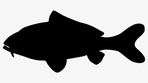 Marine Mammal Black & White - Siluet Ikan Laut, HD Png Download, Free Download