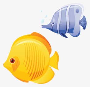 Transparent Tropical Fish Png - Tropical Fish Clip Art, Png Download, Free Download