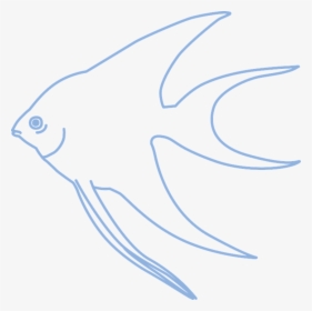 Simple, Angelfish, Tropical Fish, Fish - Ryby Kreslene Obrazky Cernobile, HD Png Download, Free Download