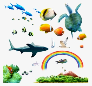 Tropical Fish Sea Clip Art , Png Download - Clip Art, Transparent Png, Free Download