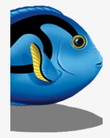 Blue Tang Fish Clipart, HD Png Download, Free Download