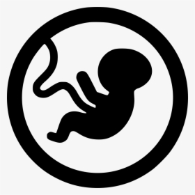 Free Download Embryo Transparent Clipart Embryo Fetus - Embryo Png, Png Download, Free Download