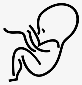 Transparent Embryo Clipart - Human Fetus Outline, HD Png Download, Free Download