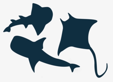 Great White Shark Vector Graphics Illustration Clip - Clipart Silhouette Shark Fin, HD Png Download, Free Download
