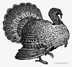 Clipartblack Com Animal Free - Thanksgiving Turkey Clipart Free, HD Png Download, Free Download