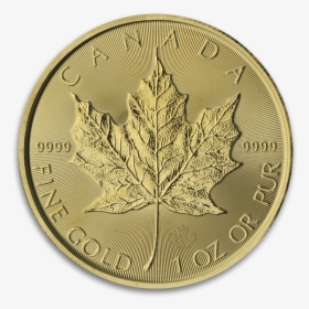 Coin, HD Png Download, Free Download