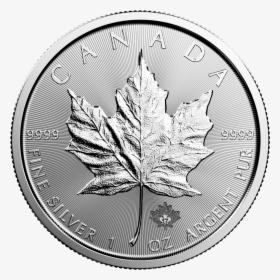 Silver Maple Leaf - Silver Maple Leaf 2019, HD Png Download, Free Download