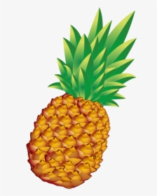 Pineapple Bun Euclidean Vector - Pineapple Png, Transparent Png, Free Download