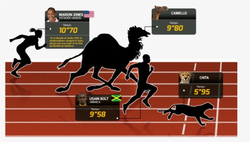 En El Reino Animal, Usain Bolt No Podría Ser El Más - Arabian Camel, HD Png Download, Free Download