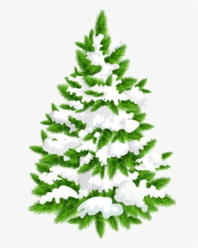 Transparent Christmas Tree Png, Png Download, Free Download