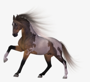 Download Horse Png Transparent Images Transparent Backgrounds, Png Download, Free Download