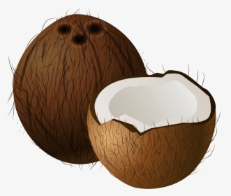 Coconuts Png Clip Art - Transparent Transparent Background Coconut Clipart, Png Download, Free Download