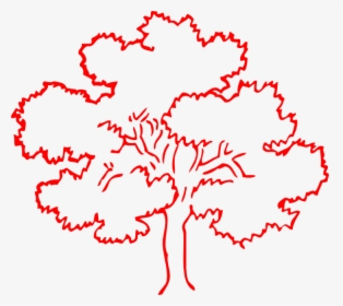Outline Pictures Of Tree, HD Png Download, Free Download