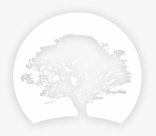 Oak Tree Silhouette Png, Transparent Png, Free Download