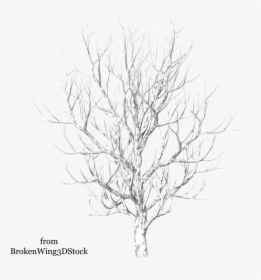 Tree In Drawing At - Winter Snow Tree Png, Transparent Png, Free Download