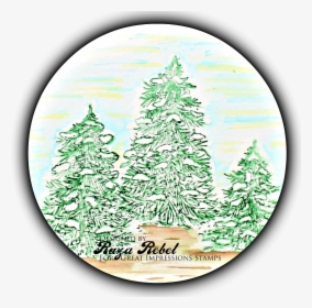 Transparent Snowy Tree Png - Colorado Spruce, Png Download, Free Download