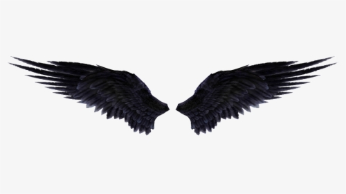 Wings Png Images Free - Black Angel Wings Png, Transparent Png, Free Download