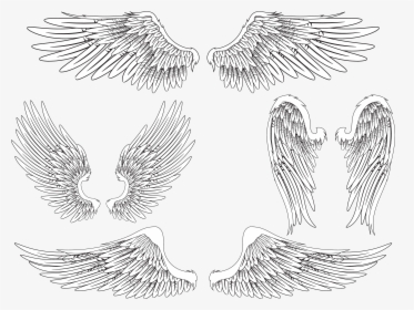 Transparent Realistic Angel Wings Png - Realistic Angel Wings Drawing, Png Download, Free Download