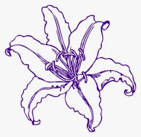 Purple Lilly Clip Art At Clker - August Birth Flower Drawings, HD Png Download, Free Download