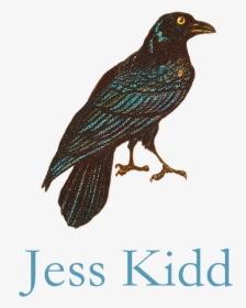 Jess Kidd - Illustration, HD Png Download, Free Download