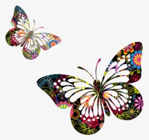 Butterflies Vector Png Picture - Butterfly Vector Png, Transparent Png, Free Download