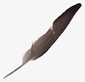 Feather-5 - Feather Quill Transparent Background, HD Png Download, Free Download