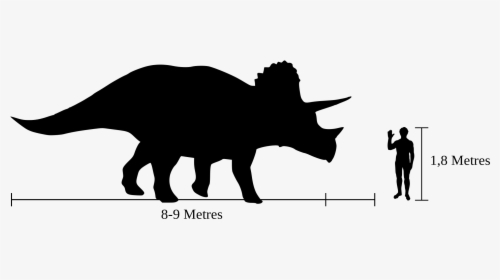 Show Pig Silhouette 9, Buy Clip Art - Triceratops Compared To Human, HD Png Download, Free Download