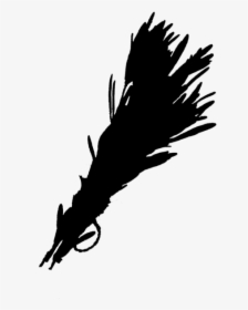 Bald Eagle Beak Feather Font Quill - Illustration, HD Png Download, Free Download