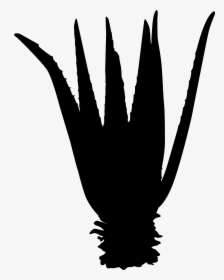 Beak Clip Art Finger Silhouette Feather - Hand, HD Png Download, Free Download