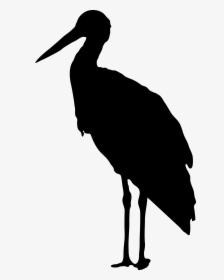 Black Silhouette Of A Stork - Stork Silhouette Png, Transparent Png, Free Download