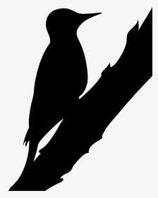 Silhouette Northern Flicker Clipart , Png Download - Black White And Red Woodpeckers, Transparent Png, Free Download